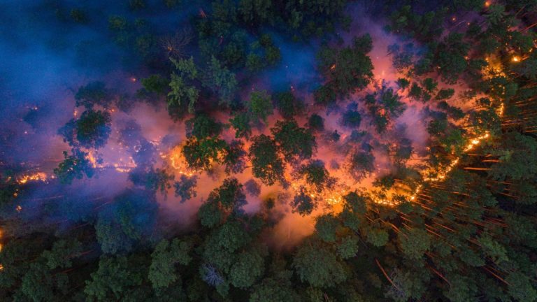 Overhead image of a wildfire burning in Russia’s Krasnoyarsk region