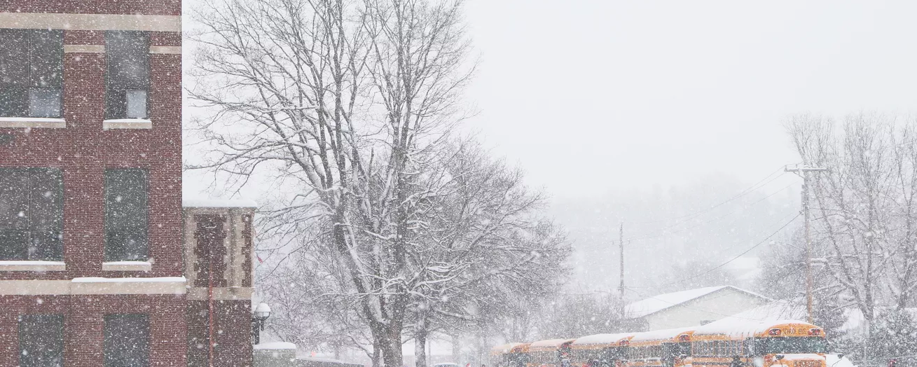 On the left, there is a red brick building, in the center there is a dead tree, and to the right are yellow schoolbuses. Snow covers the entire scene.