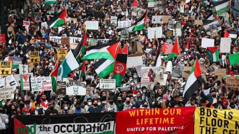 A large protest in New York for Palestinian liberation, many Palestinian flags in the crowd.