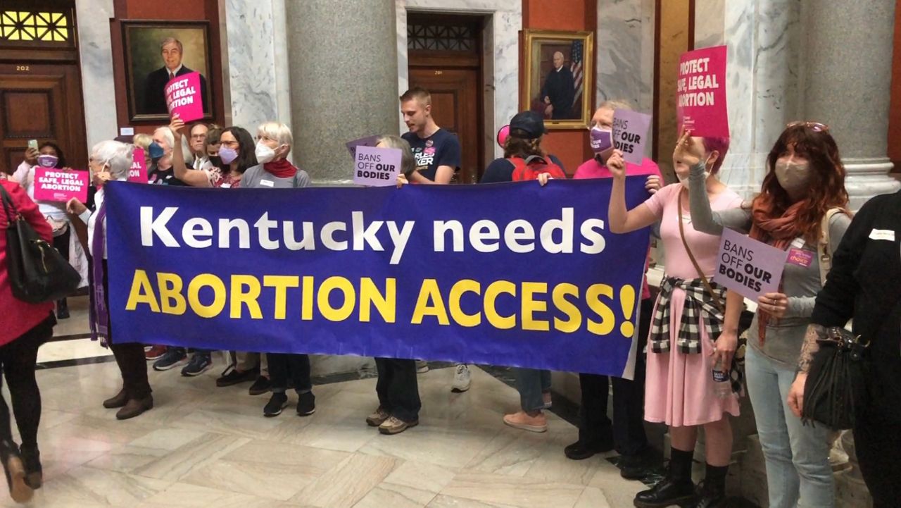 Kentucky protesters hold banner that reads "Kentucky needs abortion access."