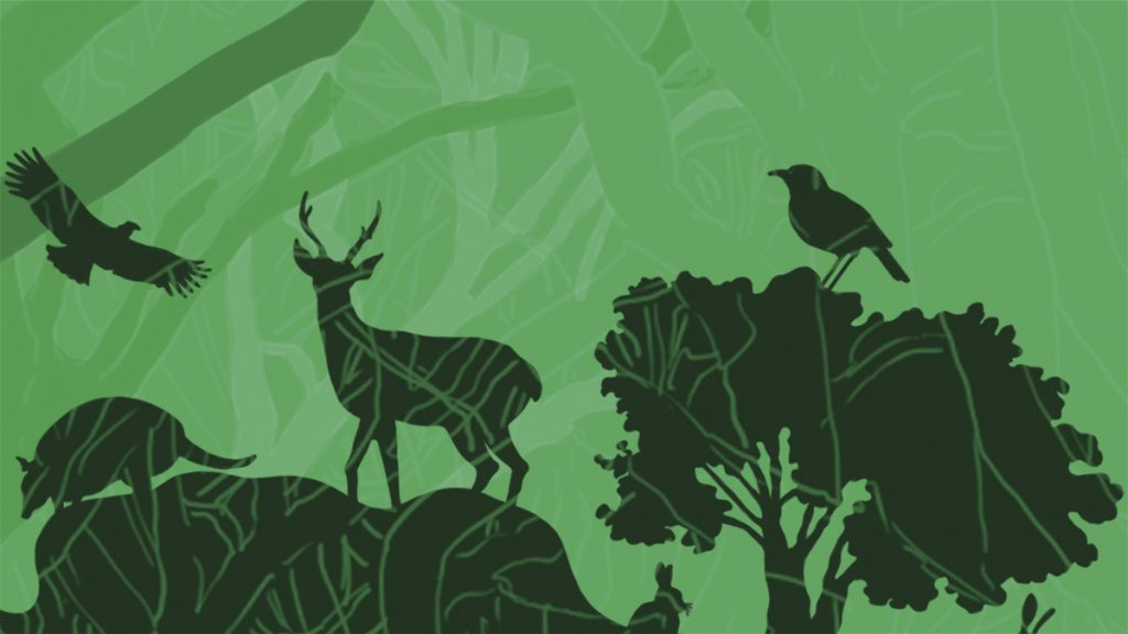 A graphic image of a landscape with silhouettes of animals and a tree in dark green, with a lighter green background of branches.