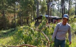 Alfredo Cisneros, Mexican land defender from Michoacán, stands in a forest. He is the fifth land defender to be murdered in the country in 2023.