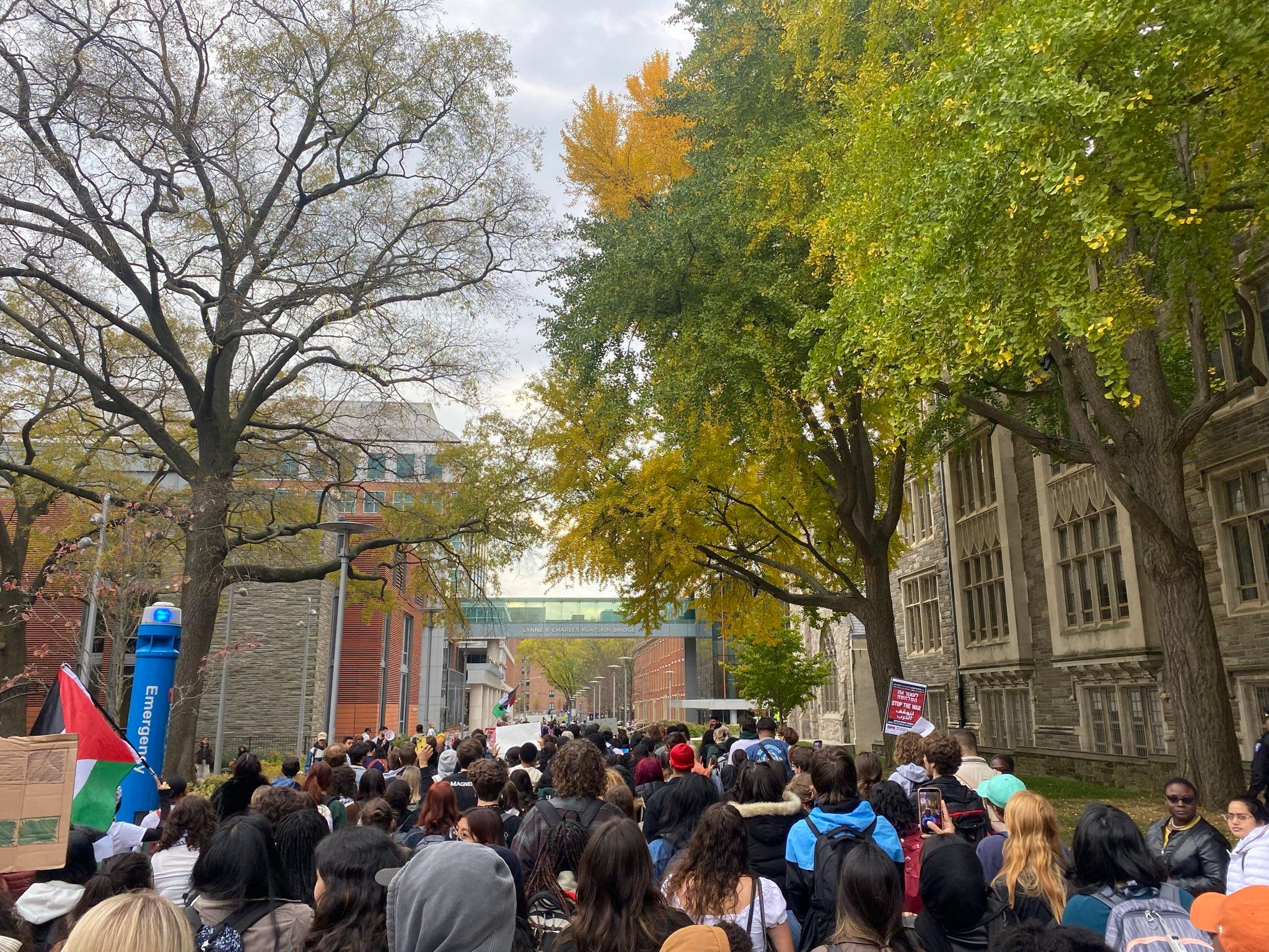 Students at Temple University in Philadelphia walk out for Palestine in November 2023.