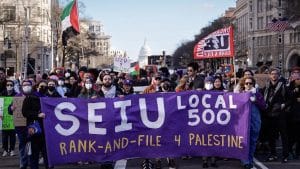 SEIU Local 500 marching for Palestine in Washington DC. (Photo: Purple Up for Palestine)