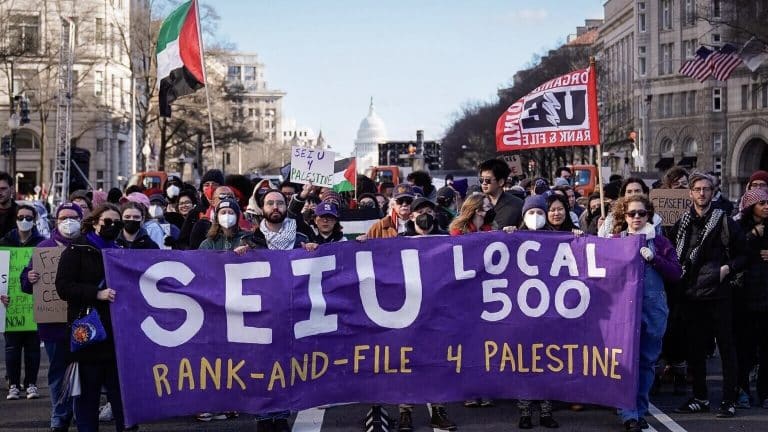 SEIU Local 500 marching for Palestine in Washington DC. (Photo: Purple Up for Palestine)